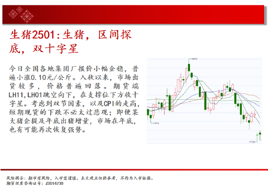 中天期货:玉米继续下行 棕榈小阳试探