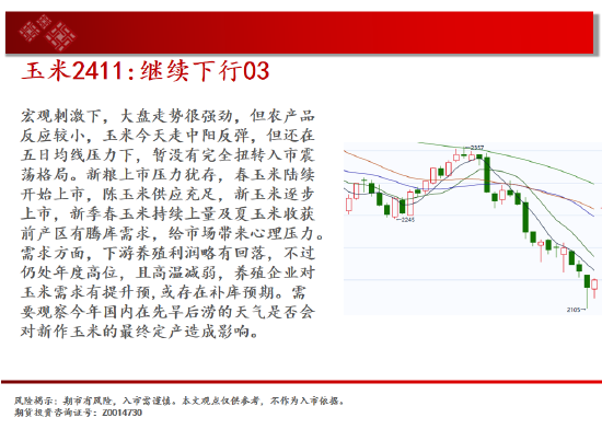 中天期货:玉米继续下行 棕榈小阳试探